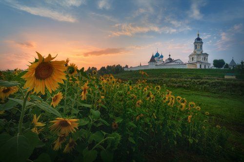 Утро у Высоцкого монастыря