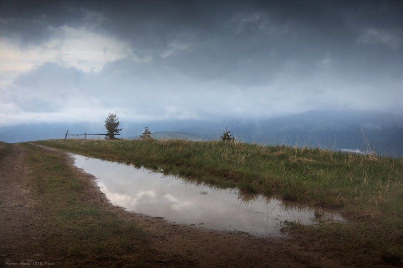 горы, карпаты, дождь, непогода, лужа, отражение, зеркало, тучи,  Отражая небеса фото превью
