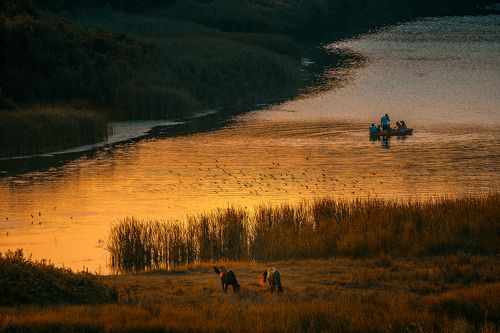 Early in the morning by the river bank...