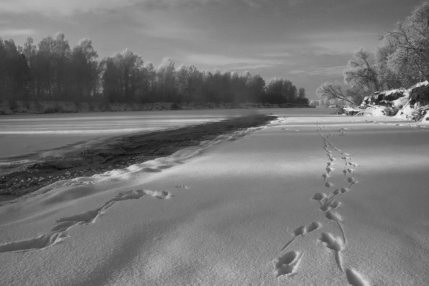 , Николай Морский