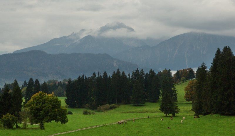 альпы, бавария, горы, долина, лес Баварская идиллия фото превью