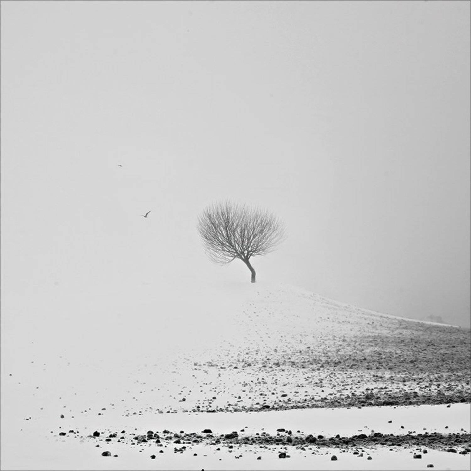 , Михалюк Сергей.