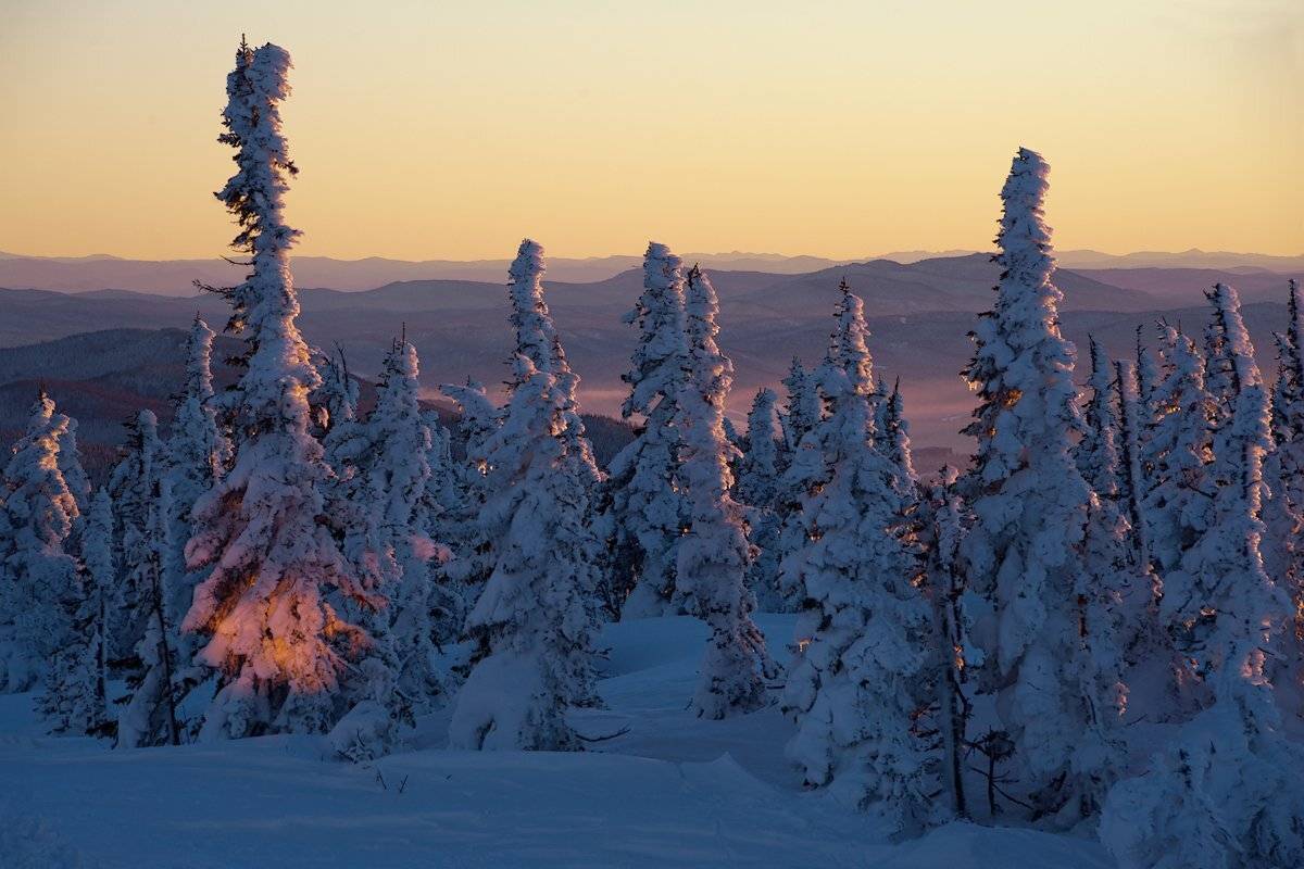 Вечер, Горная шория, Зима, Мороз, Пихты, Сибирь, Шерегеш, Валерий Пешков