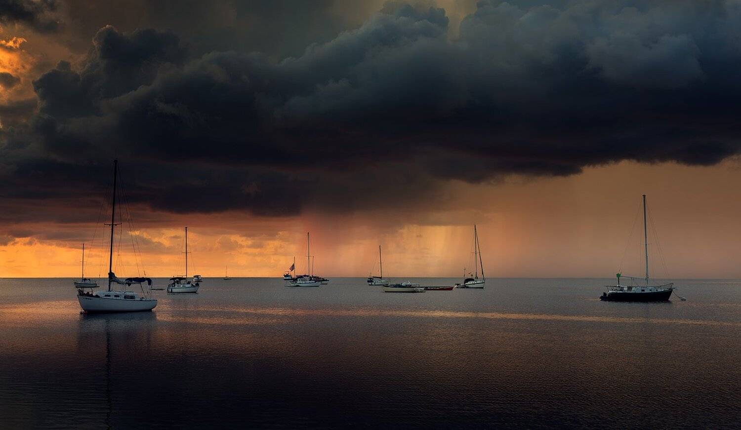 , Alexandru Popovschi