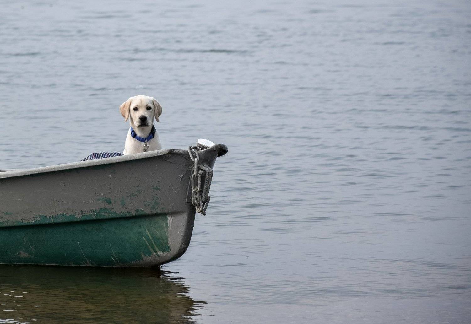 , Коростелев Юрий