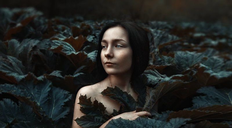 лето, лопухи, девушка, портрет, свет, тень, естественный свет *** фото превью