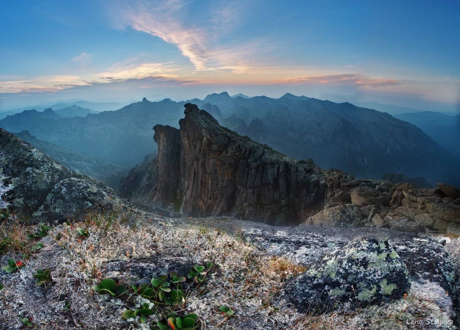 , Лена Стогова