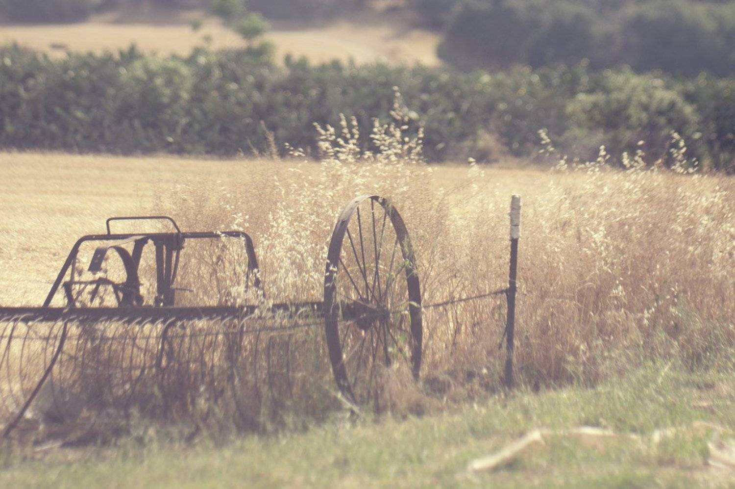 линии, пятна, свет, цвет, пейзаж, настроение, valeko