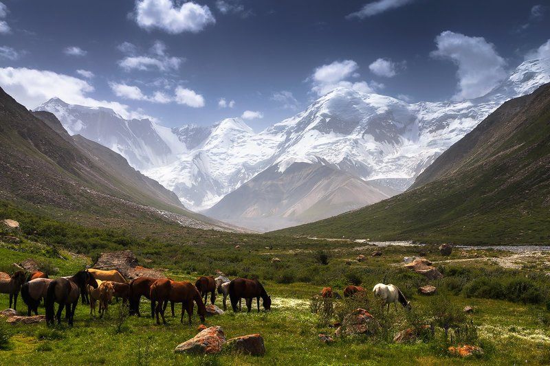 казахстан Центральный Тянь-Шань, Высота фото превью