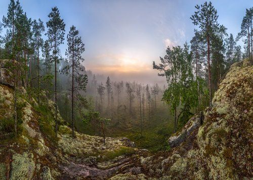 Серия «Каменный берег заросшего болота»