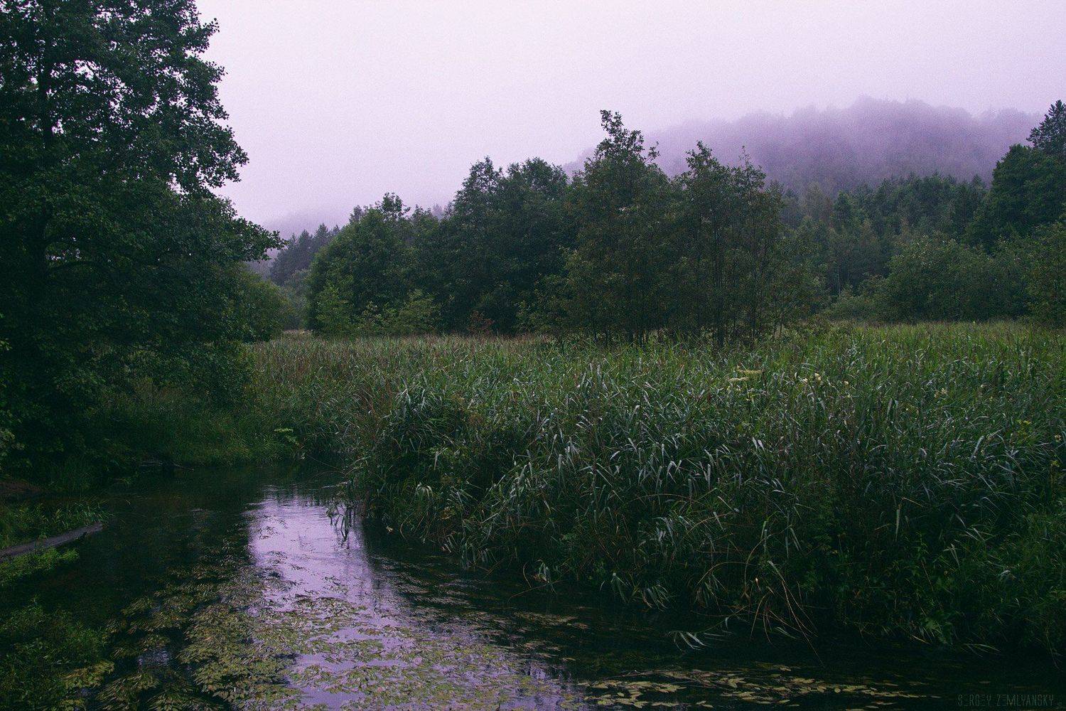 , Землянский Сергей