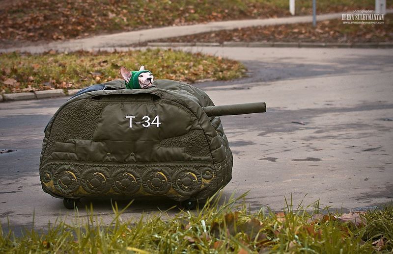 Настоящий танкист)) фото превью