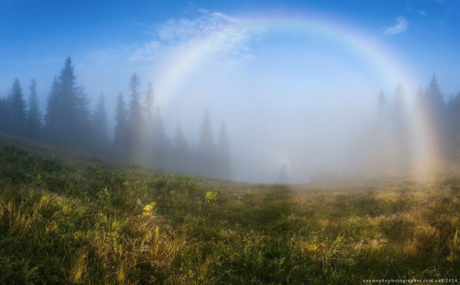 украина, карпаты, дземброня, брокенский, призрак, лето, туман, лес, пейзаж, небо, утро, горы, природа, рассвет, путешествия, туризм, солнце, сцена, фон, страна, красота, туманный, цвет, земля, свет, гора, дерево, Александр Науменко