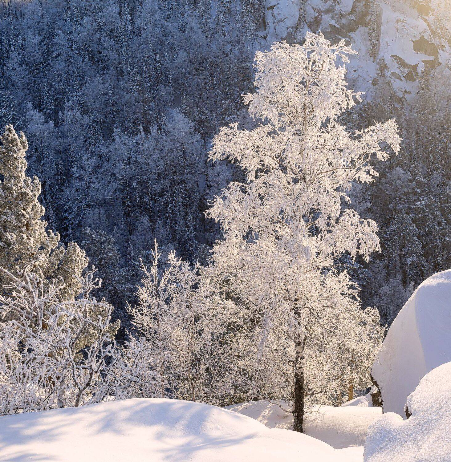 , Лещёнок Александр