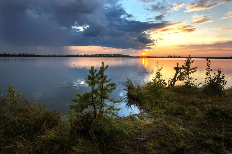 Закат, Озеро, Югра Вечер на озере фото превью