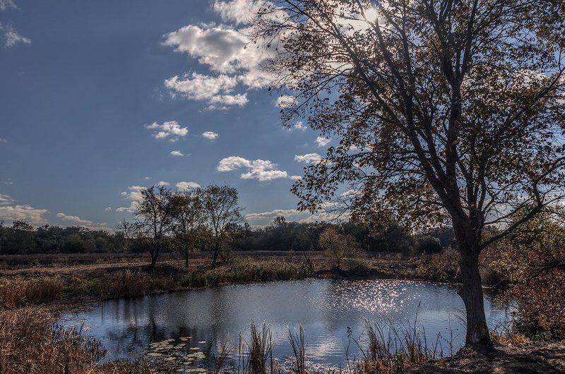 Октябрьское утро фото превью