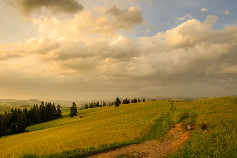 Лето в Карпатах фото превью