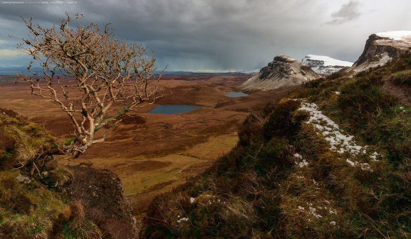 небо, восход, солнца, закат, море, горы, вода, пляж, путешествия, солнце, облака, океан, скалы,  морской, пейзаж, нагорья, Скотланд, гора, длительной, экспозиции, скай, хайланд, Киранг, Остров, Скай, skye, Шотландия, романов, Киранг, Quirang Одинокое дерево Киранга фото превью