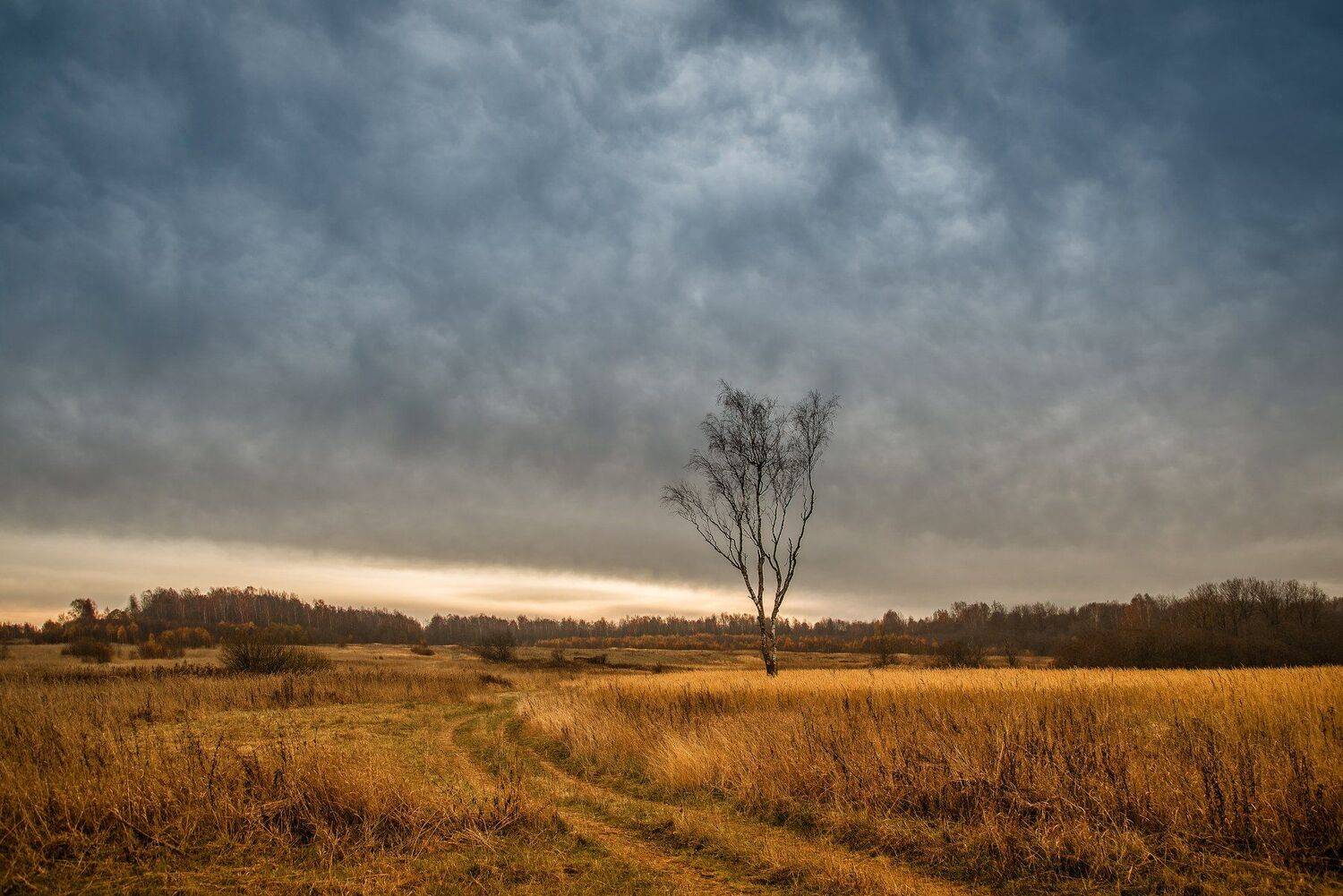 , Николай Смолянкин