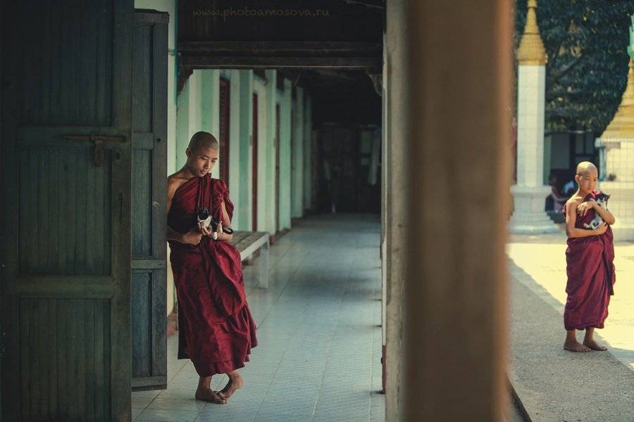 , Ирина Амосова