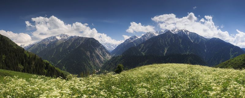 казахстан, горы, лето Малые горы Талгара фото превью