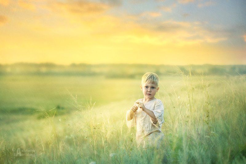 лето, поле, сын, закат, нежно, красивый, ребенок, дети Поле фото превью