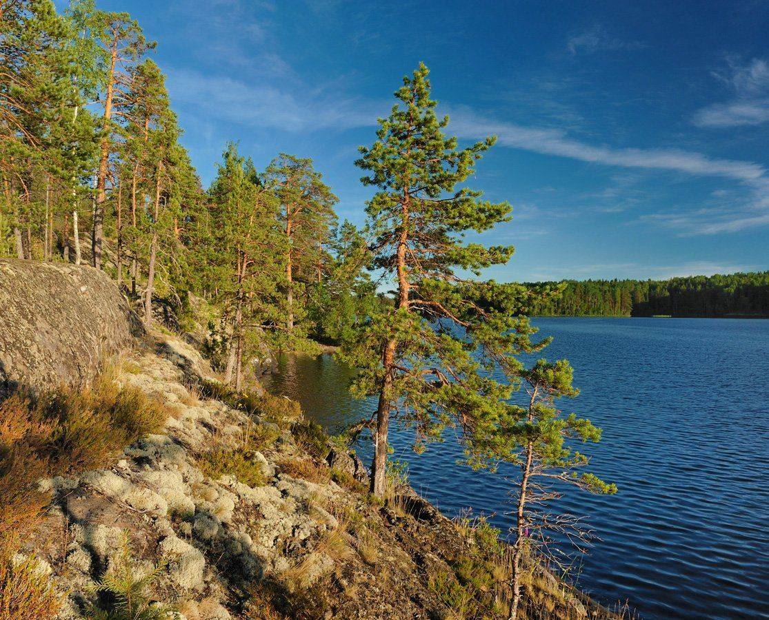 , Сергей Седов