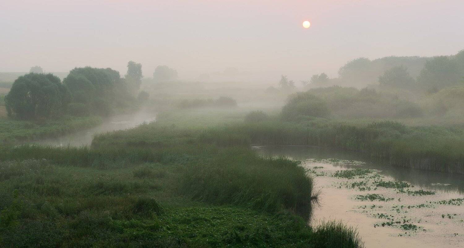 , Сергей Добровольский