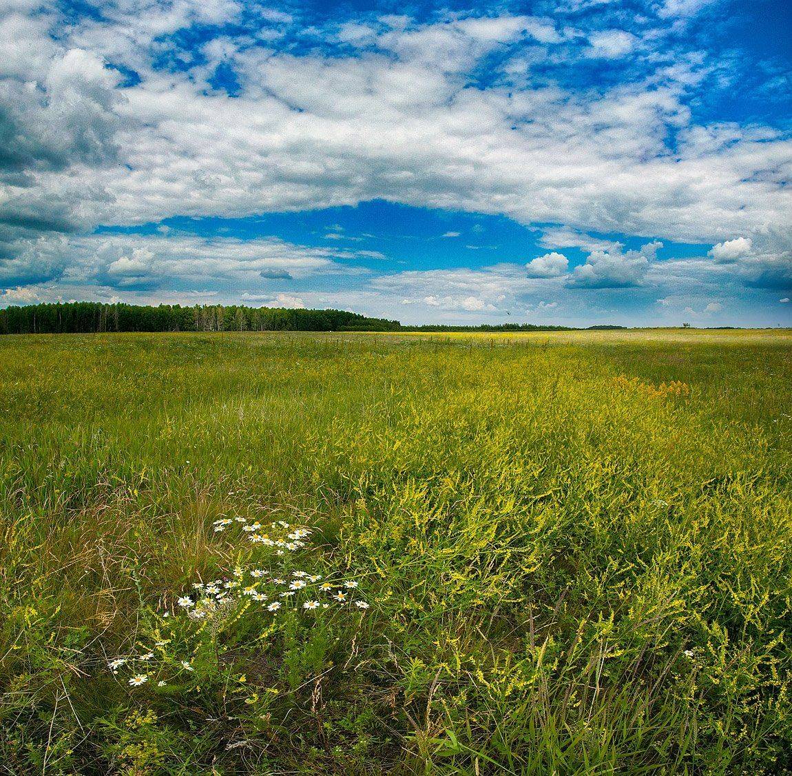 , Качурин Алексей