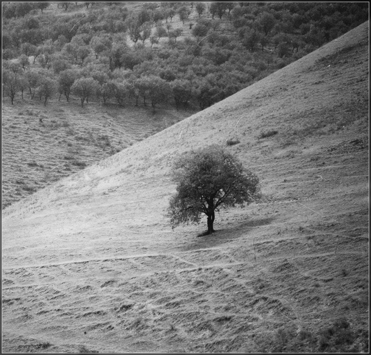 , Ильдар Садыков