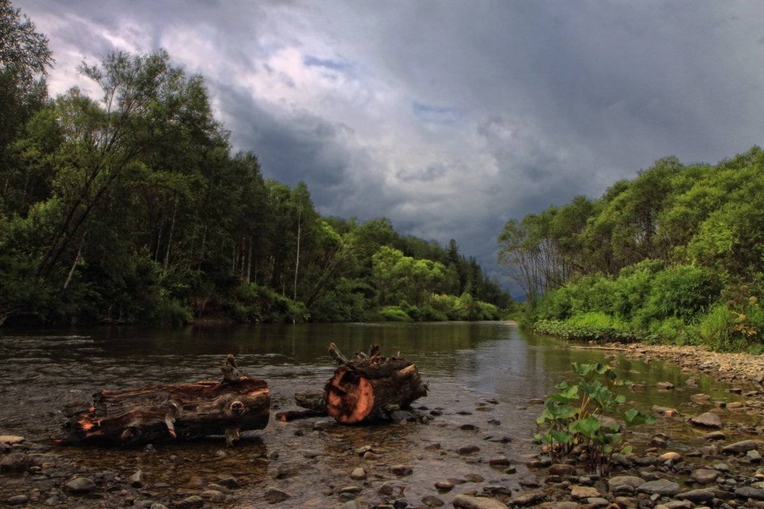 мрассу, горная шория, Галина Хвостенко