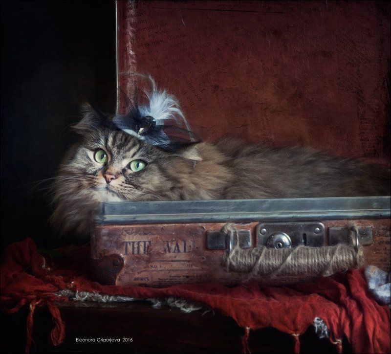 Фантазии Маруси фото превью