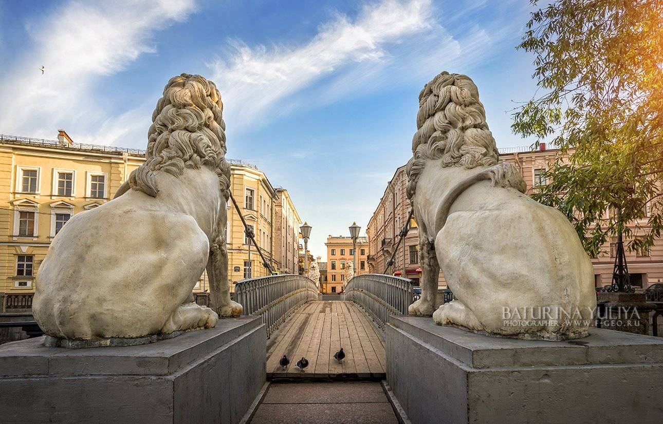Санкт-Петербург, Питер, Львиный мост, львы, мост, утро, город,, Юлия Батурина