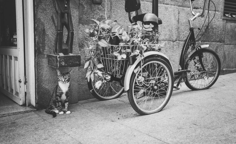 Дело было вечером... фото превью