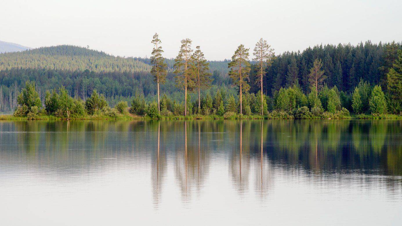 , Воинков Виктор