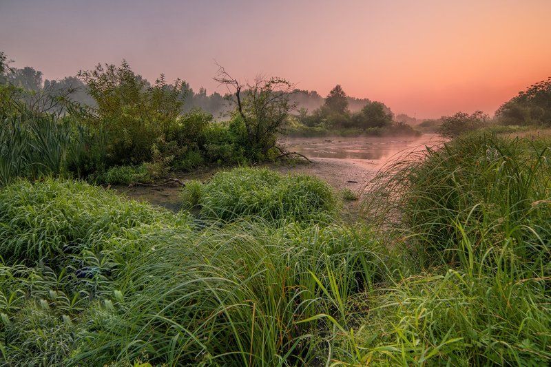 Лето, Утро Одно тихое буднее утро фото превью