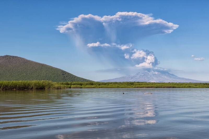 шивелуч, вулкан, камчатка влк. Шивелуч. (3300м) фото превью