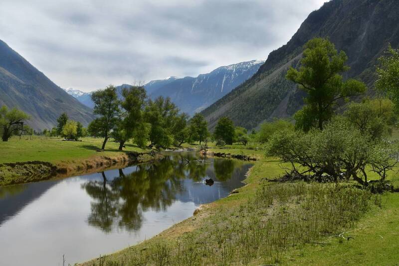 Летний Алтай фото превью