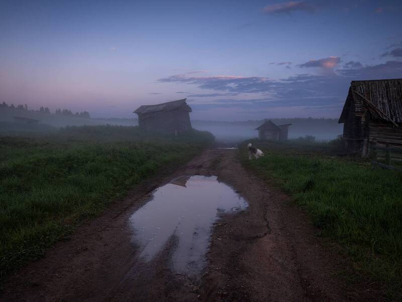 кимжа, архангельская область, вечер, туман После  дождя фото превью