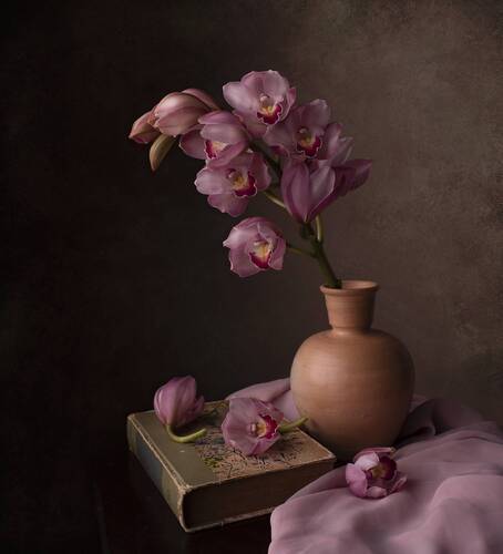 Orchid Cymbidium