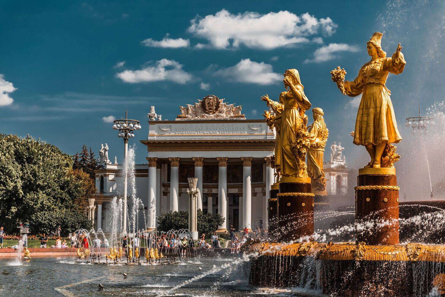 , Трепольский Дмитрий