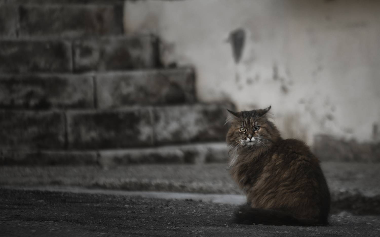 , Олег Дунаев