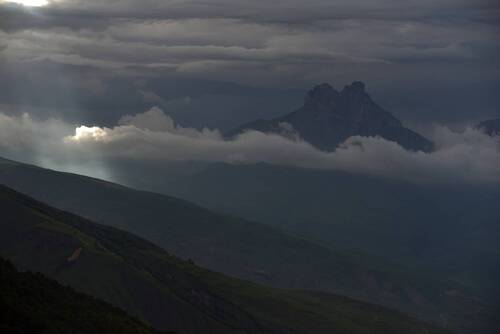 Нашгушидзе