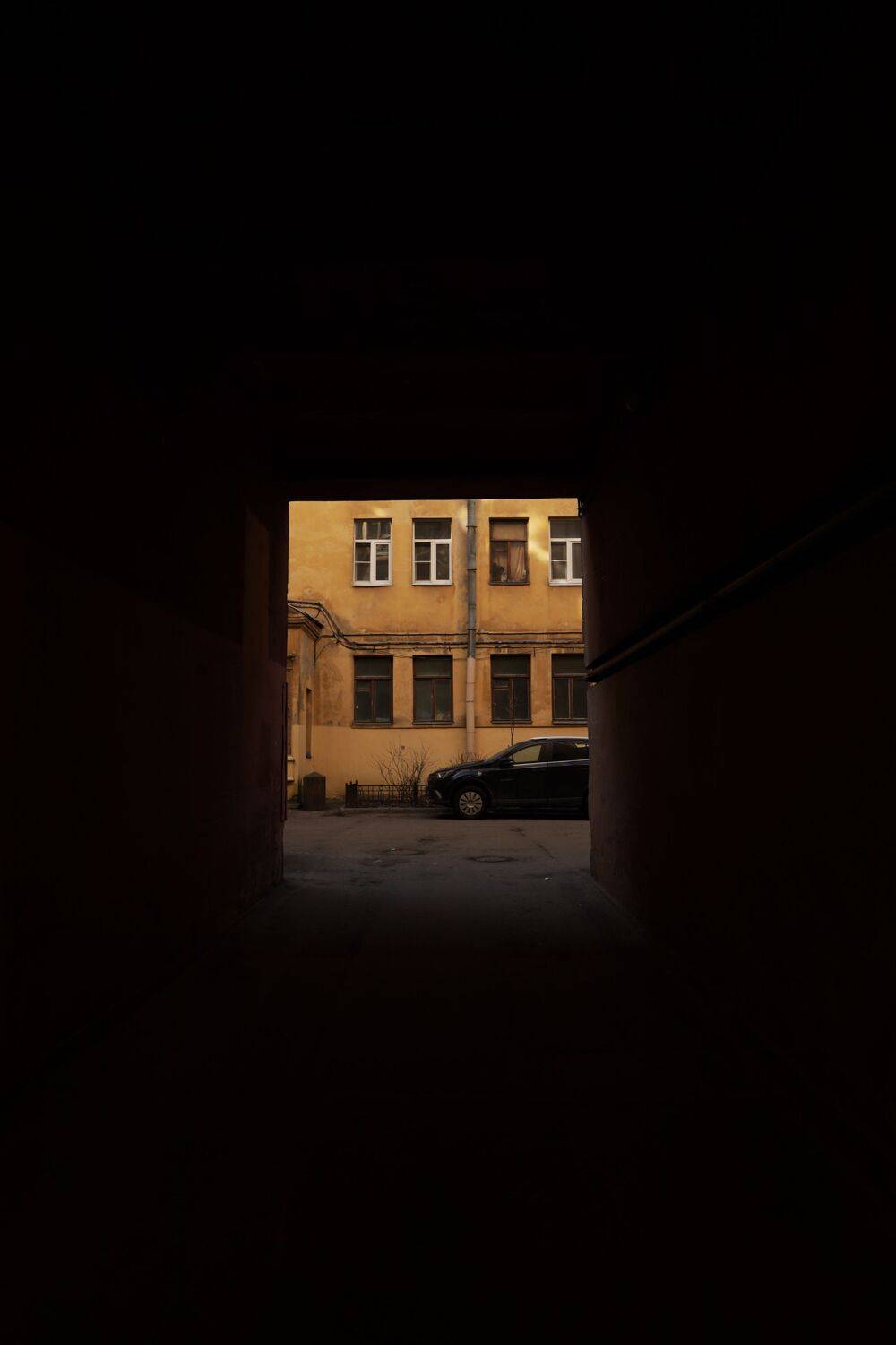 , Елена Катасонова