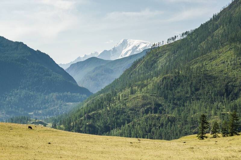 алтай, северо-чуйский хребет, горы  фото превью