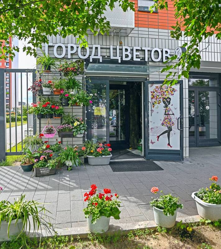 В городе цветов фото превью