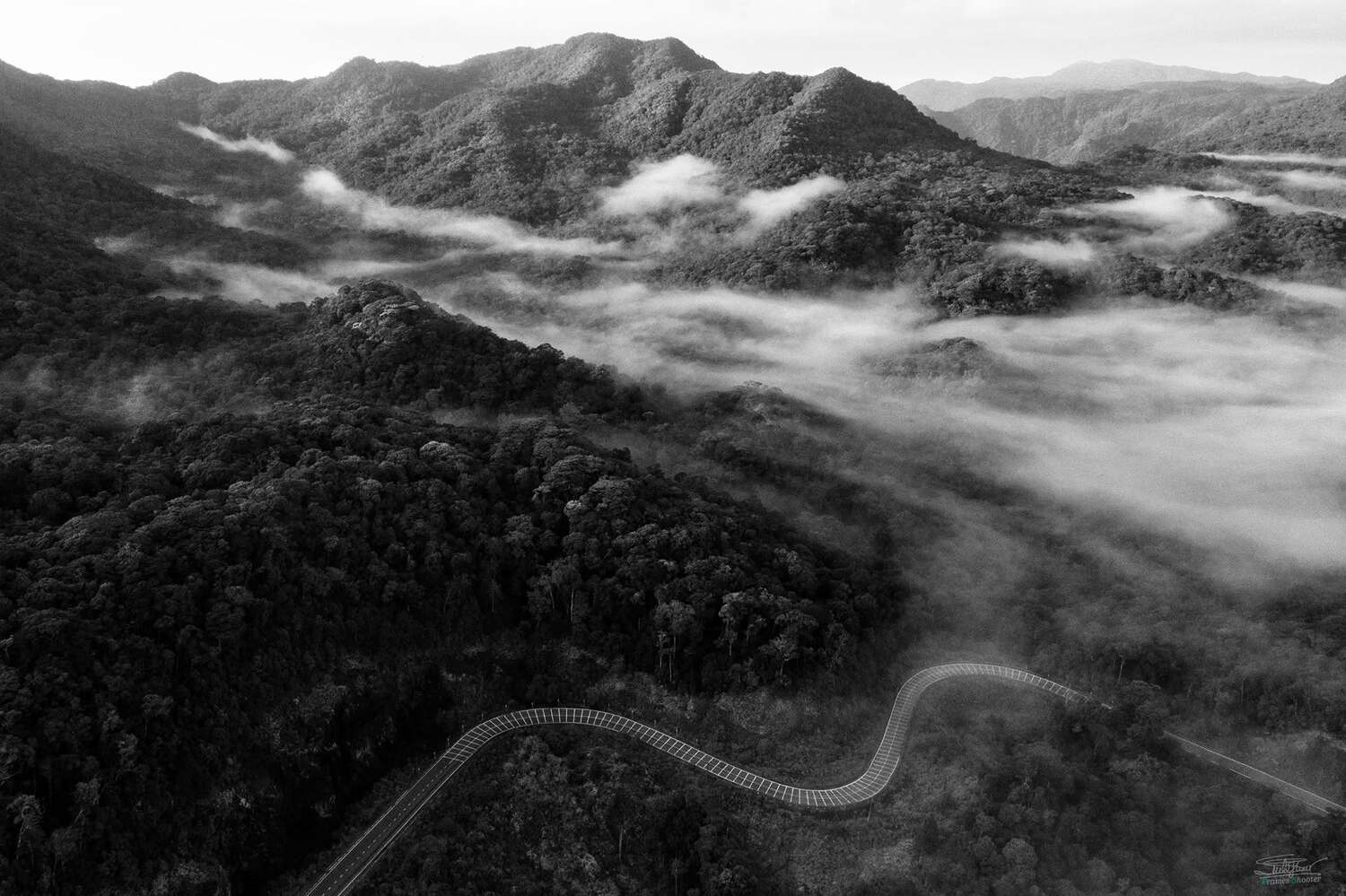 mavic2pro, Mimic