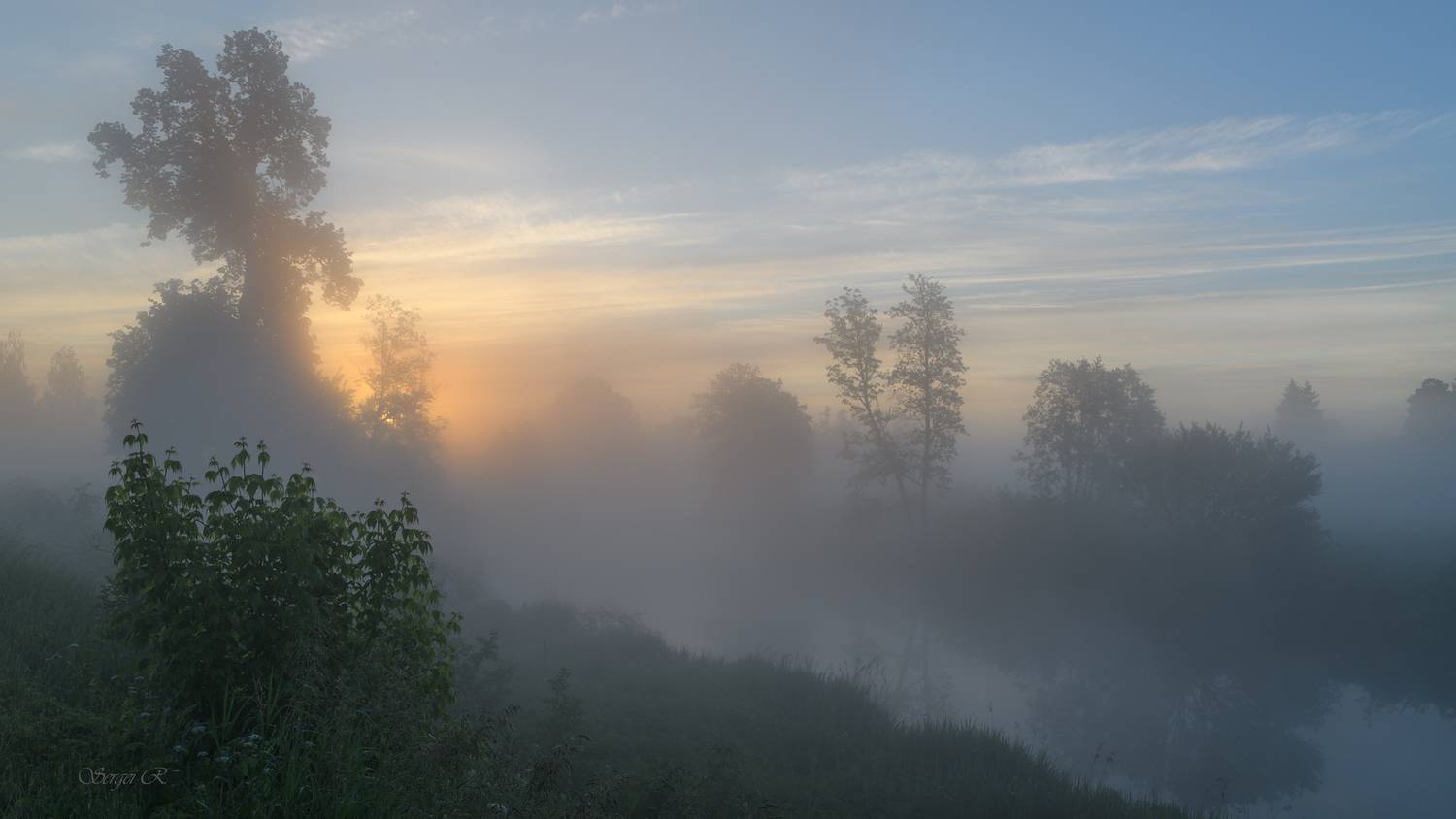 лето, июнь, утро, туман, река, лес, деревья, трава, Рытиков Сергей