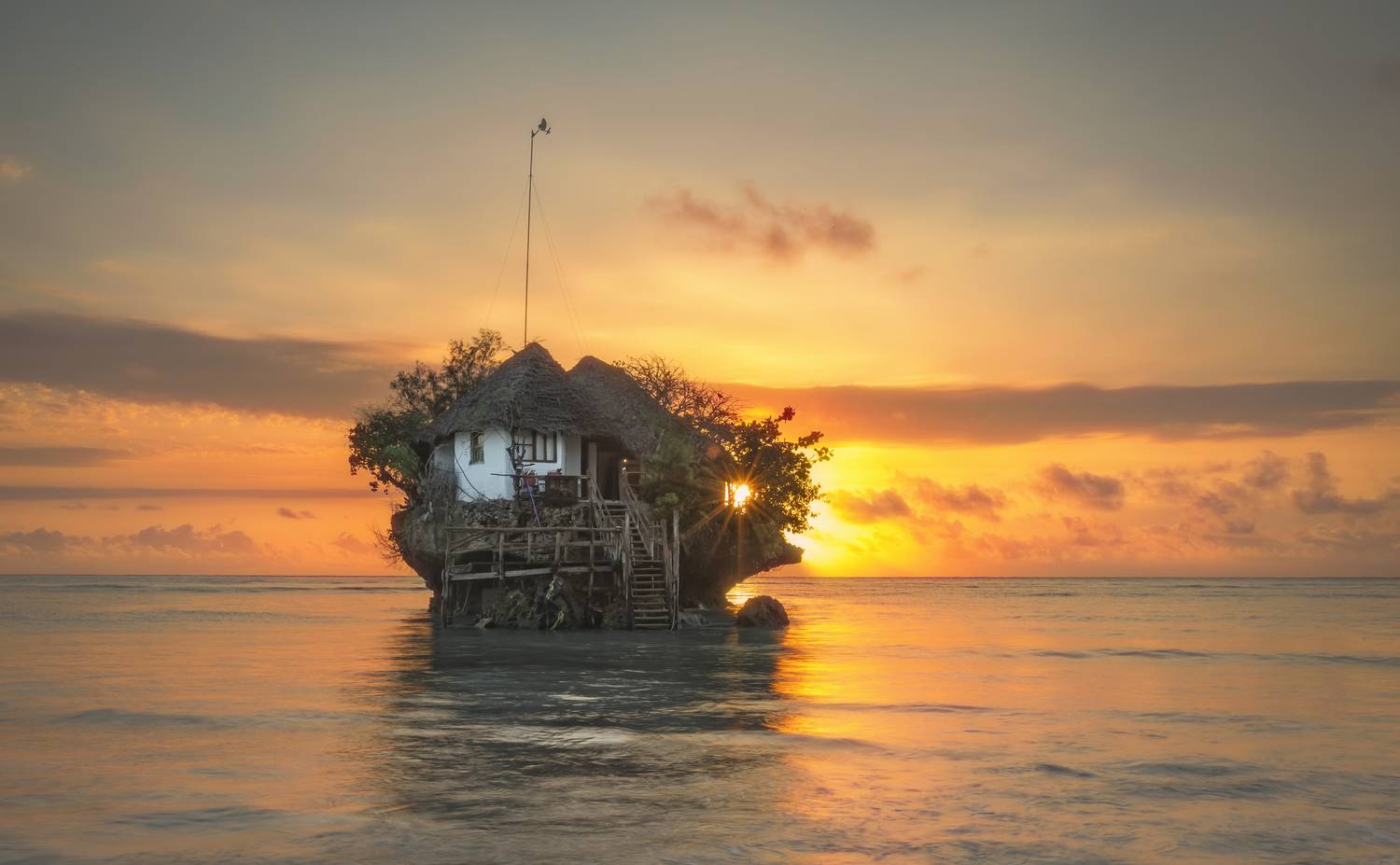 zanzibar, the rock, Чабров Андрей