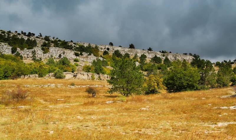 Осень на плато Ай-Петри. фото превью